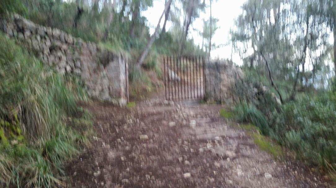 SA VOLTA DES GENERAL. PEKES MALLORCA