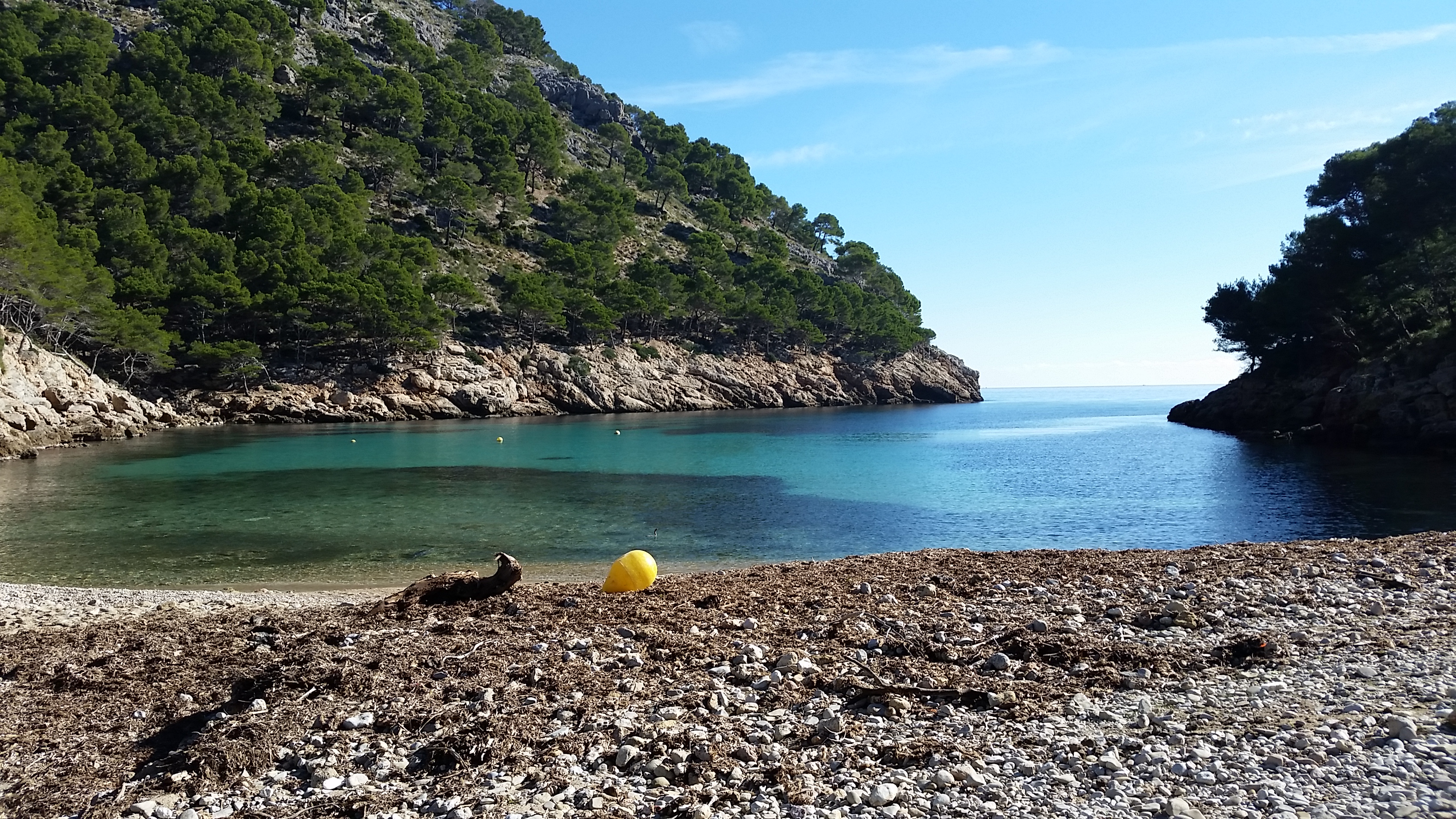 CALA MURTA. PEKESMALLORCA