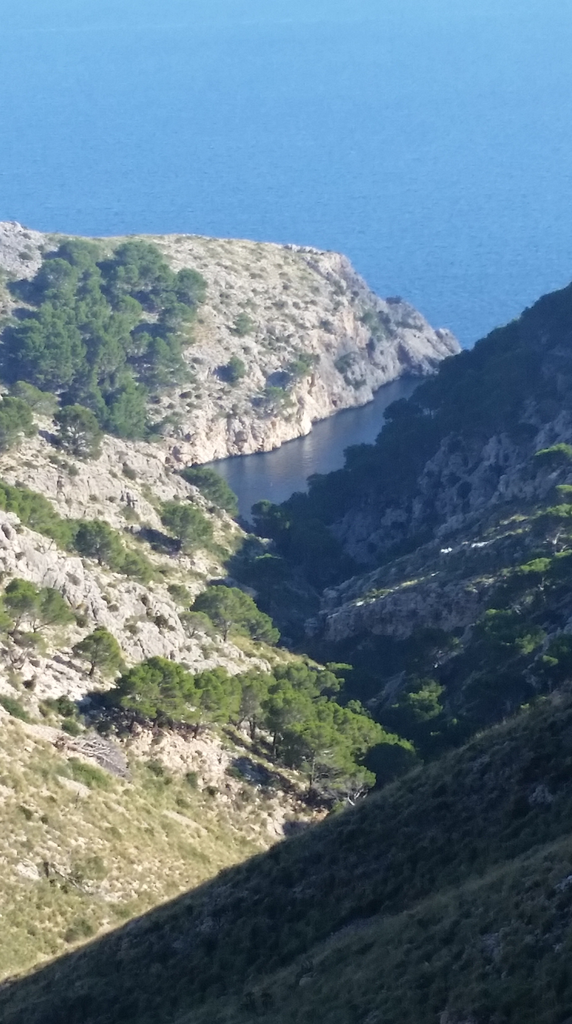 CALA EN GOSSALBA. PEKESMALLORCA