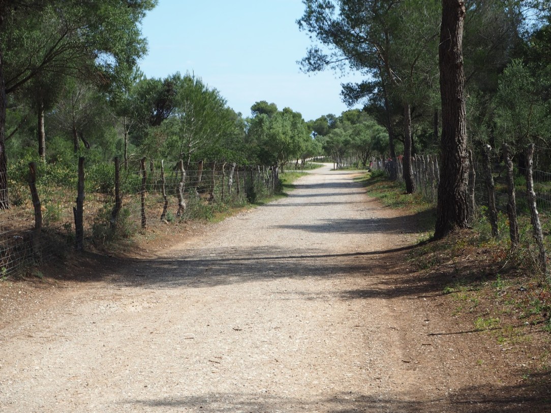 SON REAL. PEKESMALLORCA