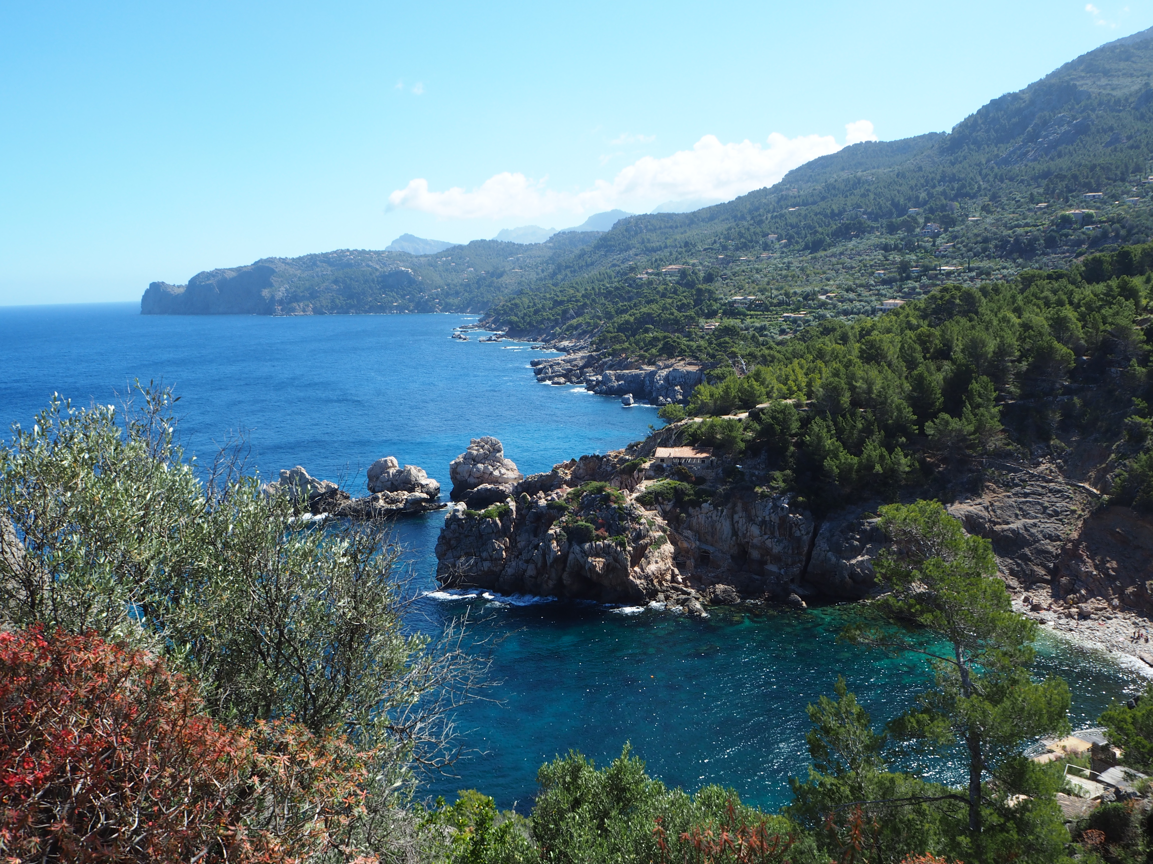 CALA DEIA. PEKESMALLORCA