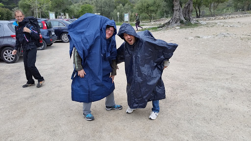 RECOMENDACIONES Y CURIOSIDADES DE LAS EXCURSIONES. PEKESMALLORCA