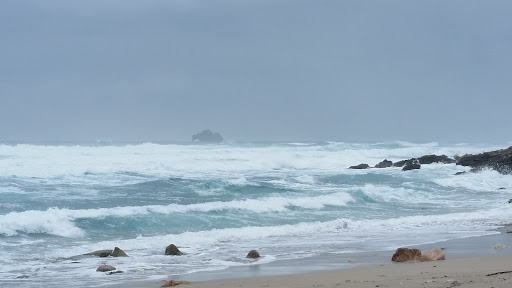 RECOMENDACIONES Y CURIOSIDADES DE LAS EXCURSIONES. PEKESMALLORCA