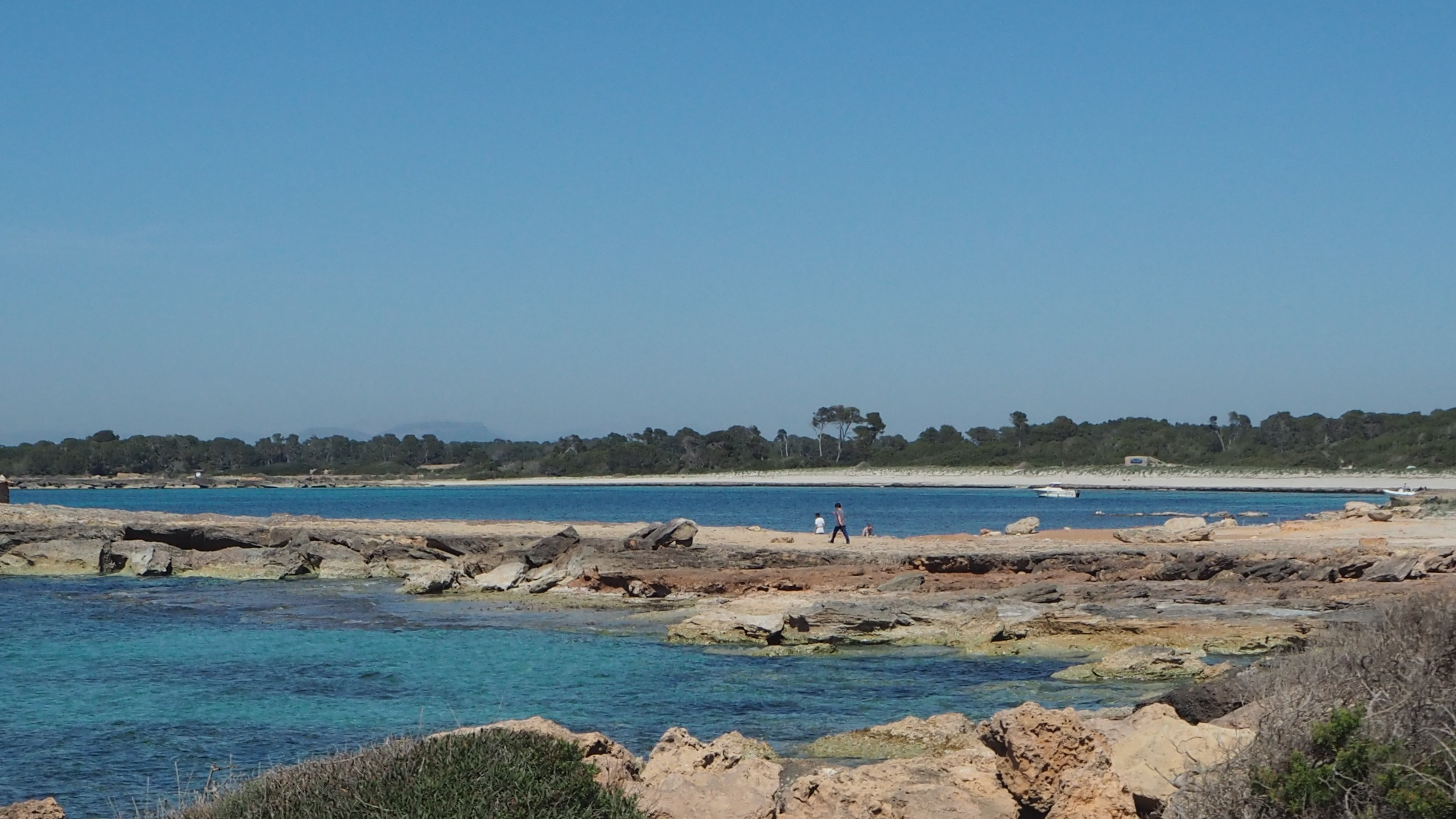 PLAYA DES CARAGOL. PEKESMALLORCA