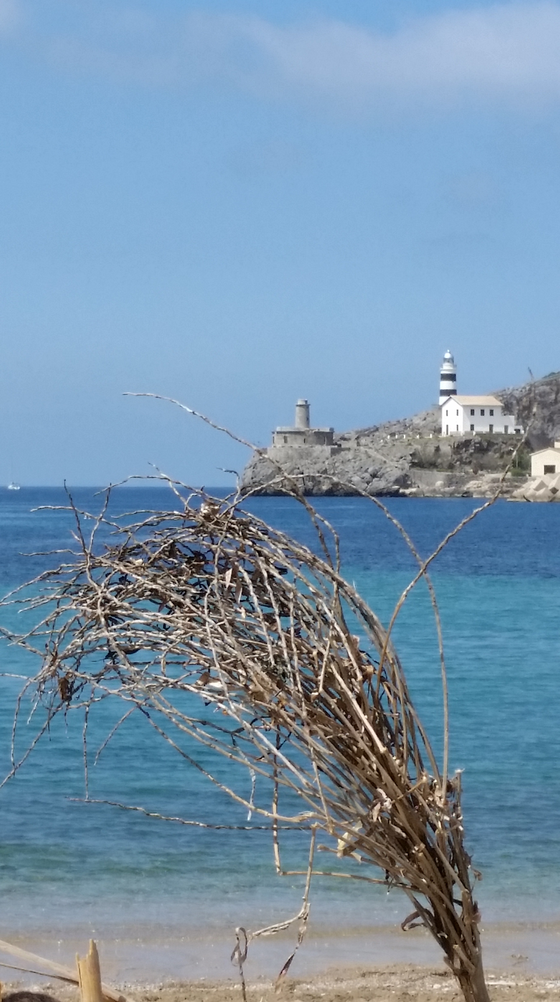 PUERTO DE SOLLER. PEKESMALLORCA