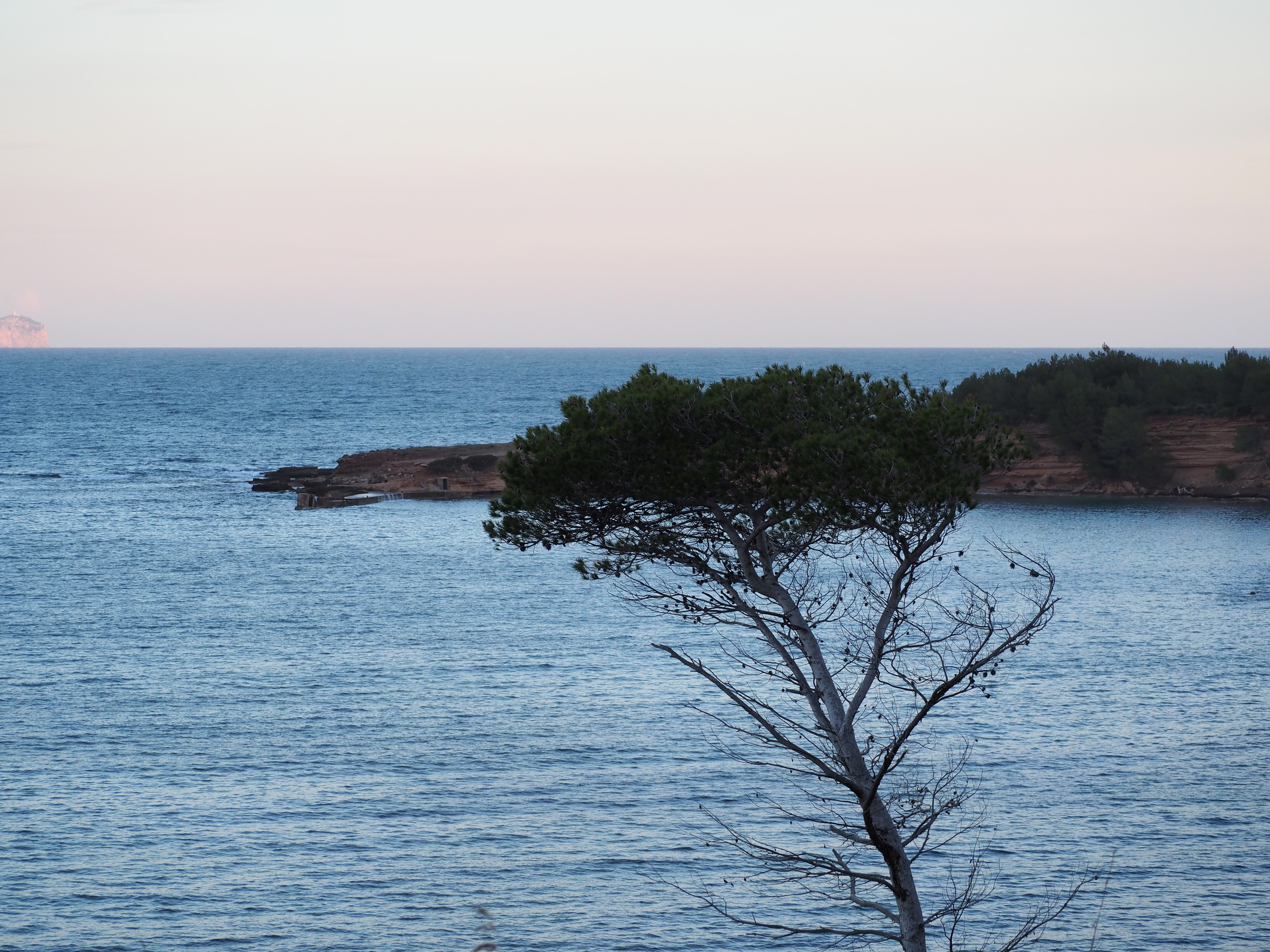 CAMINO DE PESCADORE. PEKESMALLORCA