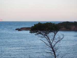 CAMINO DE PESCADORE. PEKESMALLORCA