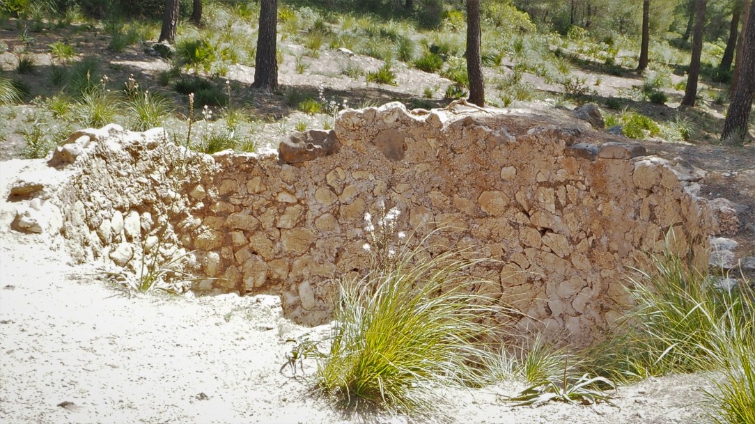 CALA MESQUIDA A CALA AGULLA. PEKESMALLORCA