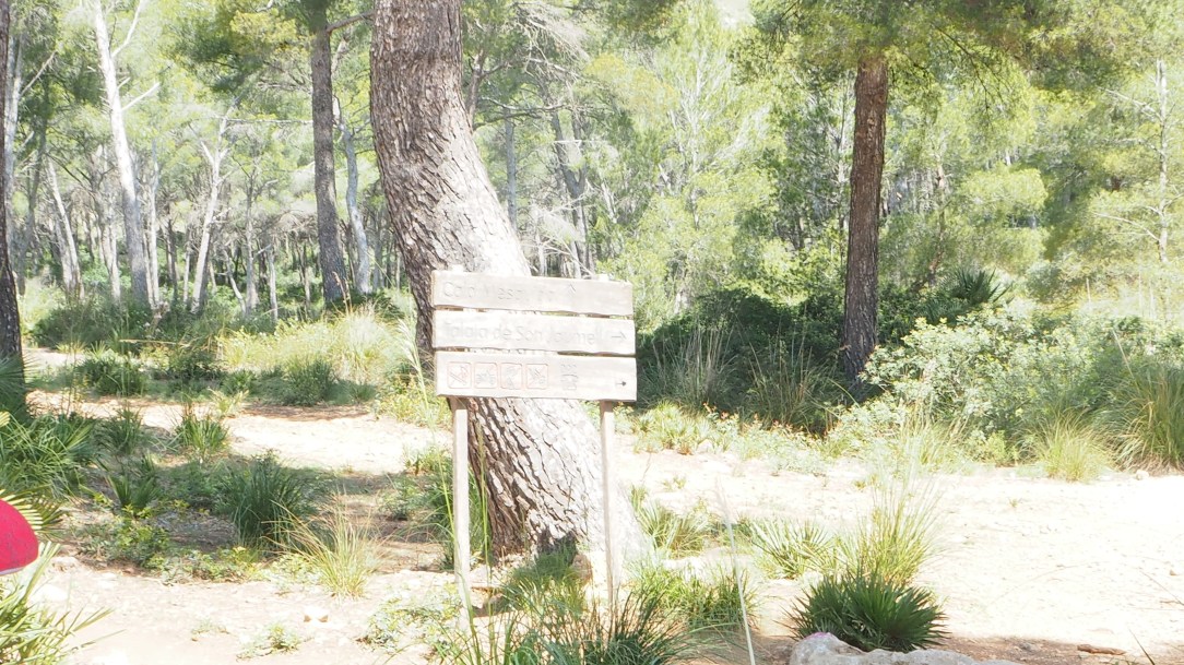 CALA MESQUIDA A CALA AGULLA. PEKESMALLORCA