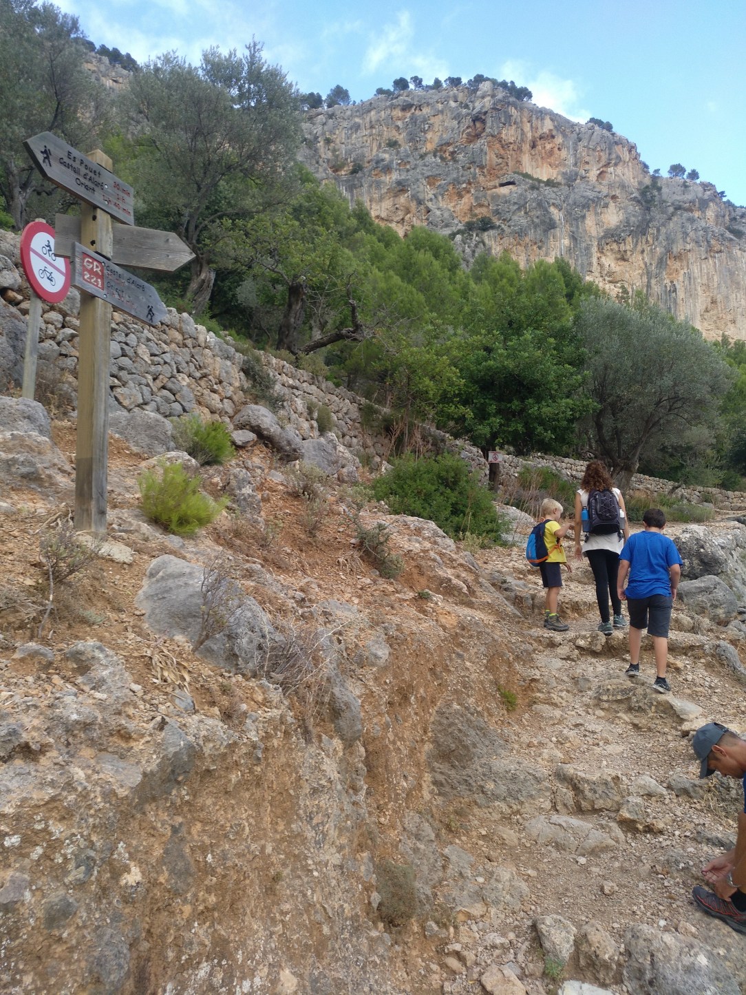 CASTILLO DE ALARO. PEKESMALLORCA